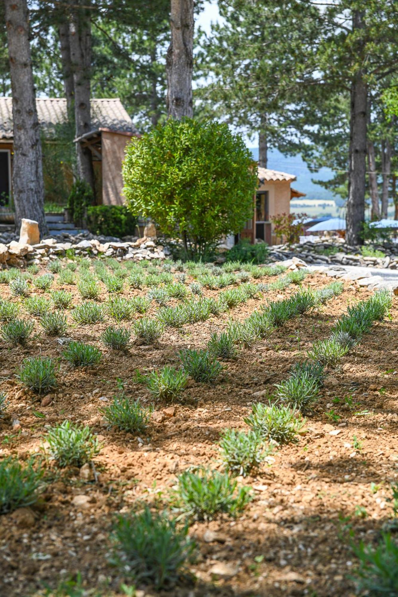 Domaine Du Val De Sault Ξενοδοχείο Εξωτερικό φωτογραφία